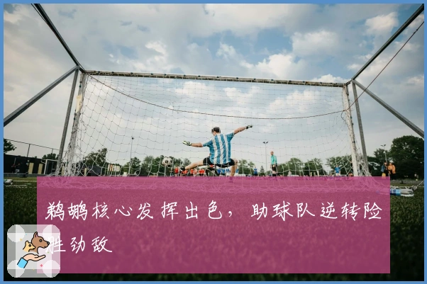 鹈鹕核心发挥出色,助球队逆转险胜劲敌