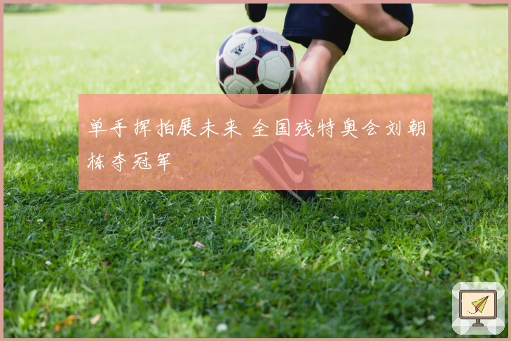 单手挥拍展未来 全国残特奥会刘朝栋夺冠军