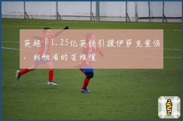 英超｜1.25亿英镑引援伊萨克重伤，利物浦的苦谁懂