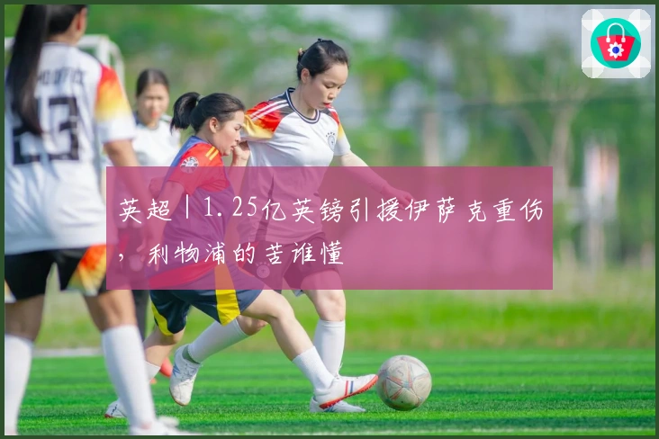 英超｜1.25亿英镑引援伊萨克重伤，利物浦的苦谁懂